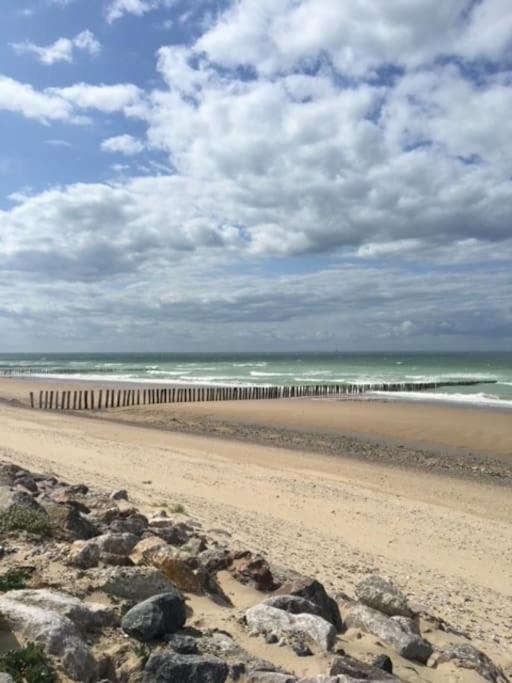Vue Sur Dunes ! Sangatte Kültér fotó