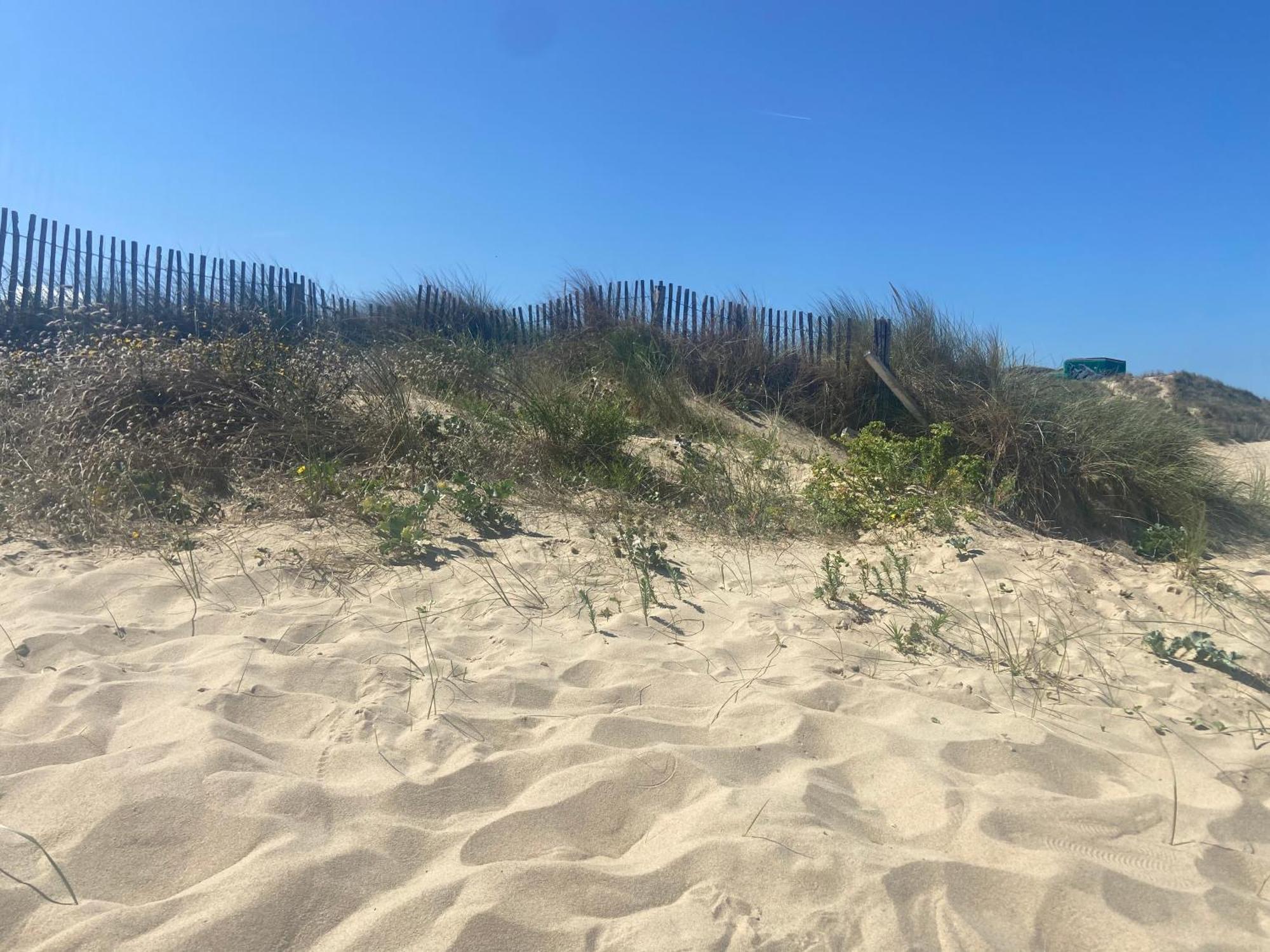Vue Sur Dunes ! Sangatte Kültér fotó